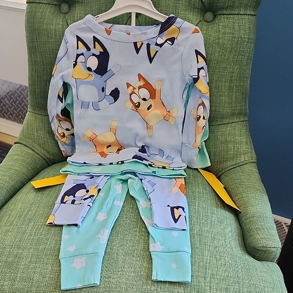 Bluey Other - Toddler Bluey Pajamas Set - Blue and Green